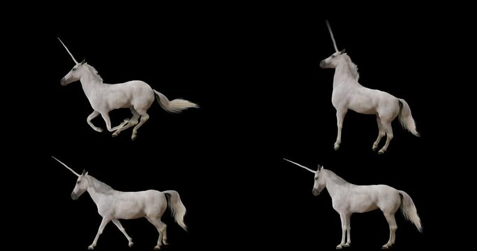 Set of unicorn realistic animation. Isolated video including alpha channel allows to add background in post-production. Element for visual effects.