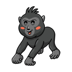 Cute little crested black macaque cartoon