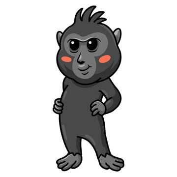 Cute little crested black macaque cartoon standing
