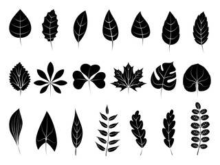Leaves icons set. Flat black vector botanical elements. Beautiful isolated greens leaf. Organic object for frame, border, ornament divider. Great for greeting card. Silhouet eco collection.
