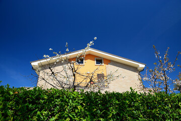 Beautiful blooming trees and green hedge near house on sunny spring day, low angle view