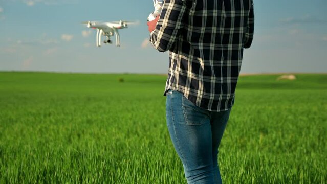 Modern Technologies in Agriculture. Farmer flying a drone over a young wheat field. High quality 4k footage