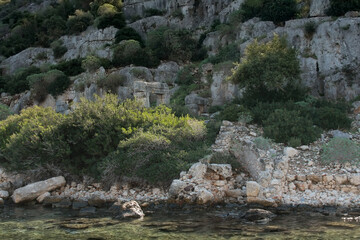 sheep in the mountain