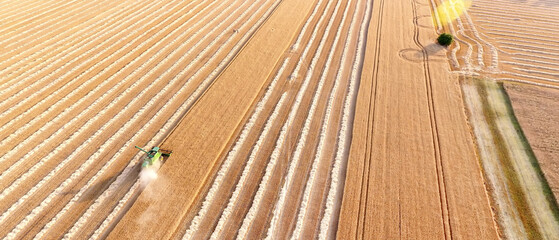 Combine harvester in wheat field, aerial view