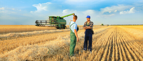 Male farmers working in wheat field