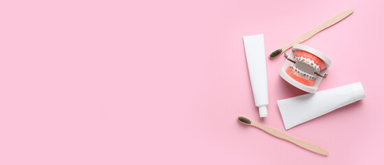 Model of jaw with dental braces, tooth brushes and paste on pink background with space for text