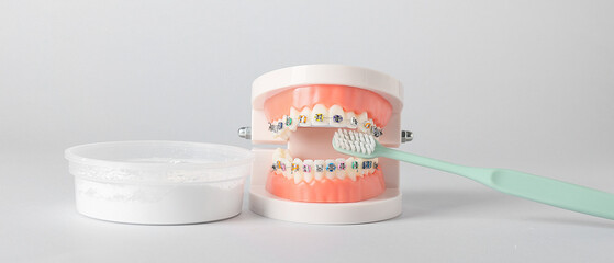 Model of jaw with braces, tooth brush and powder on light background