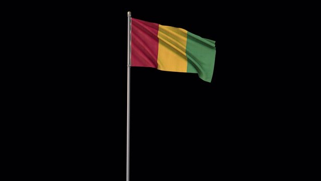 Guinea flag, 4k video background is transparent