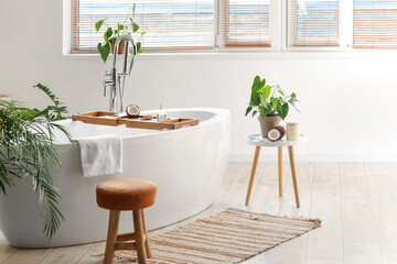 Interior of light bathroom with coconut oil and houseplants