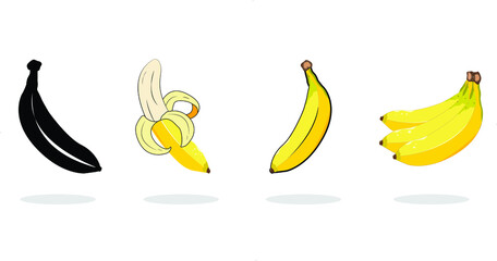 Banana Fruit collection - Vector Illustration
