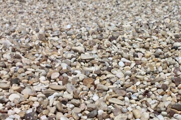 pebbles on the beach