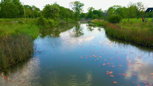 aerial drone view of a local park in Chicago westside during a beautiful evening. the natural green environment and clear water is great for tourism sightseeing