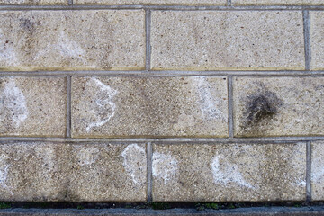汚れたブロック塀
