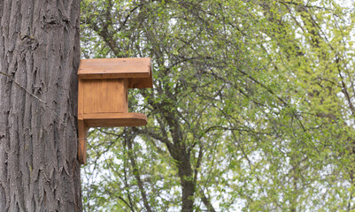 A birdhouse hanging from a tree in the park