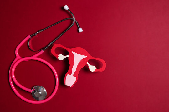 Women's health awareness concept. Uterus symbol with stethoscope on red background. Diagnostic and research women's reproductive system.