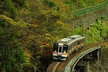 Fototapeta premium Local train running on the Takayama Line in autumn