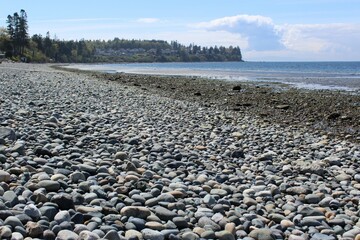 Cobble stones on the beach in the Pacific Northwest