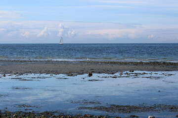 A tranquil day on the sea with a view of a sailboat in the Pacific Northwest