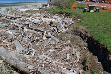 High tide flooding and washes out the section of the beach, and piled driftwood logs