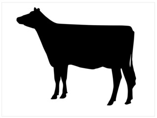 Cow Stock Vector Images