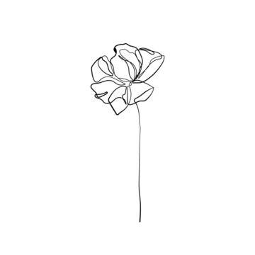 recommend clip art: One Line Vector Drawing of Flower. Botanical Modern Single Line Art, Aesthetic Contour. Perfect for Home Decor, Wall Art Posters, or t-shirt Print, Mobile Case. Continuous Line Drawing 
