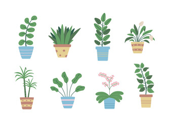 Potted flowers, vector illustration set doodle icons, ficus, dracaena, orchid.