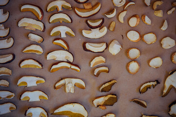 Sliced dried mushrooms lying on paper, top view. Harvesting of boletus. Abstract edible mushroom background.