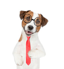 Smart Jack russell terrier puppy wearing  eyeglasses and necktie looks at camera. isolated on white background