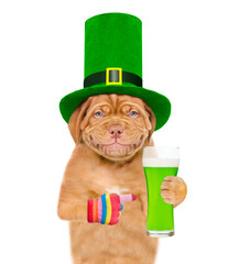 St Patrick's Day concept. Funny mastiff puppy wearing hat of the leprechaun with a glass of green...