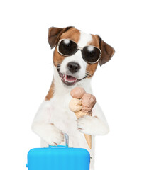 Jack russell terrier puppy holds suitcase and ice cream. Isolated on white background