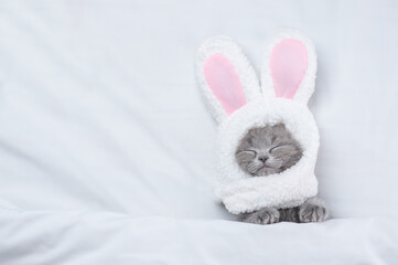 Cozy kitten wearing easter rabbits ears sleeps on a bed under warm white blanket at home. Top down view