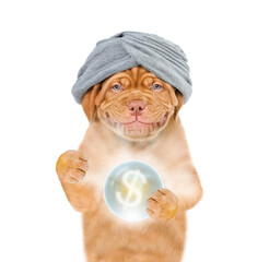 Smiling puppy fortune teller wearing predicts future with magic ball. isolated on white background