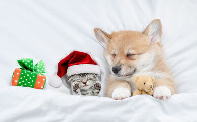 Fototapeta na wymiar Cute kitten and Corgi puppy wearing santa hats sleep together under a white blanket on a bed at home. Top down view