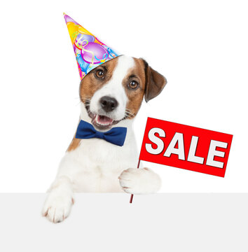 Happy jack russell terrier puppy wearing party cap and tie bow looks above empty white banner and sales symbol. isolated on white background