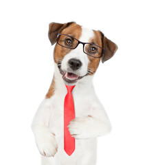 Smart Jack russell terrier puppy wearing  eyeglasses and necktie looks at camera. isolated on white background