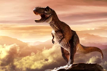 Foto op Canvas Dinosaur tyrannosaurus rex on top mountain © fotokitas