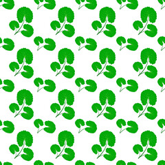 Fototapeta premium Centella asiatica seamless pattern vector illustration. Gotu kola repeated texture. Fresh green leaf for organic cosmetics, natural products, food, eco design. Asian pennywort endless background.