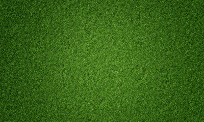 Top view of natural fresh green grassy background. Nature and wallpaper concept. 3D illustration rendering