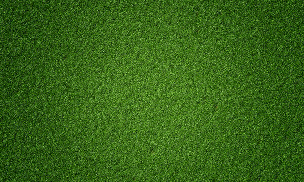 Top view of natural fresh green grassy background. Nature and wallpaper concept. 3D illustration rendering