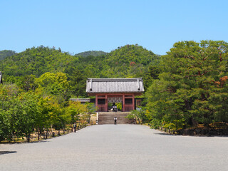 京都　仁和寺　中門