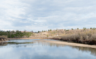 river in the forest