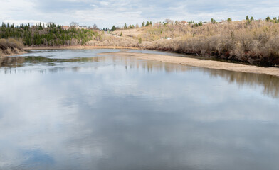 reflection of trees in the water