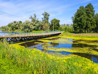 Obraz premium View of the Ikva River with bridge near the Dubno Castle. Top view of green lotus leaves in a lake. Nature habitat. Summer landscape. Travel destinations in Ukraine.