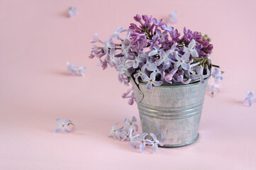Lilac flowers in a decorative small bucket on a pink background with copy space. Selective focus, natural lighting, side view