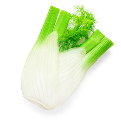Fennel Bulb Isolated. Fresh fennel vegetable with leaves on white background. Top view. Flat lay.