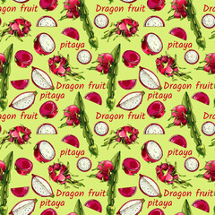 719_dragon fruit plant_dragon fruit Dragon Fruit, Hylocereus, Pitahaya, Pitahaya, Hand drawn vector illustration of pitahaya stalk, with fruit isolated on white background, set, whole, half, fruit sli