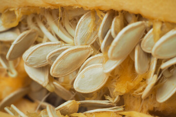 Pumpkin seeds close up. Sliced ​​fresh pumpkin. Recipes for cooking autumn dishes, growing on a farm, garden.