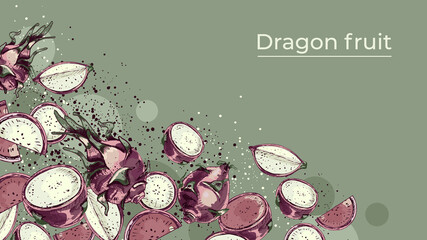 730_dragon fruit Dragon fruit, pitaya colorful graphic vector illustration, line art lettering dragon fruit, seamless vertical background with exotic tropical cactus fruits, whole and sliced ​​hylocer