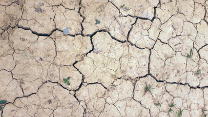 Sècheresse, manque d'eau, canicule