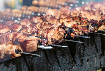 Meat on skewers grilled on coals.